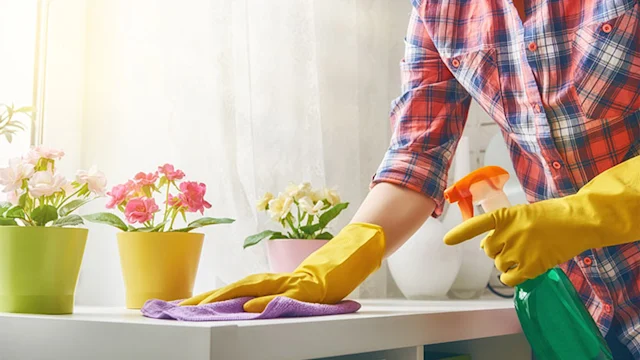 fe2f467ca669-spring-cleaning-tips-t
